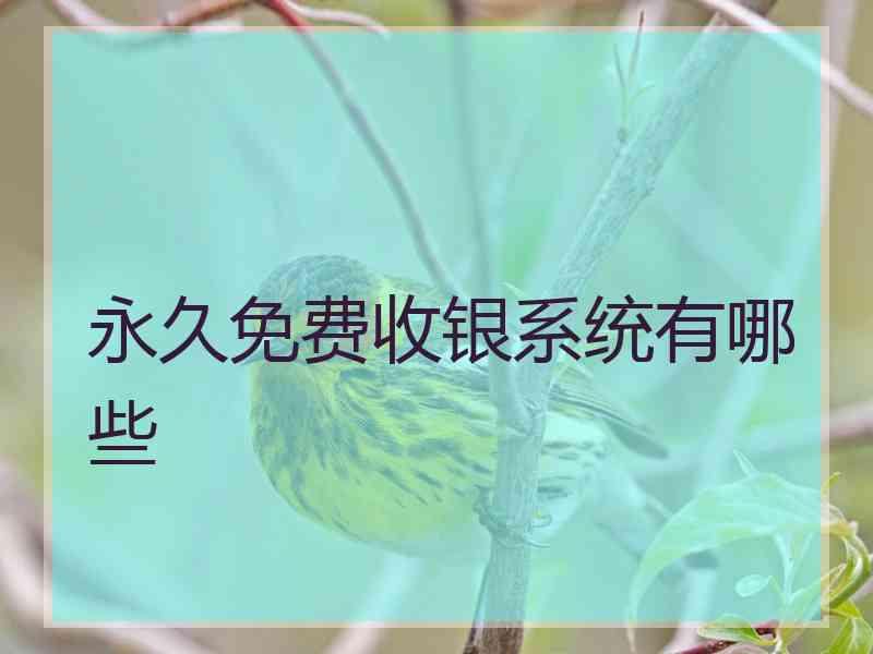 永久免费收银系统有哪些