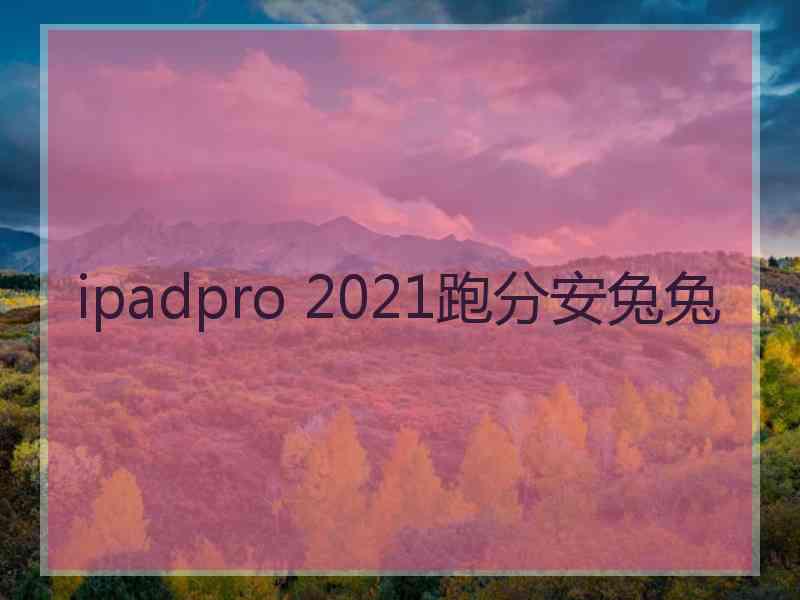 ipadpro 2021跑分安兔兔