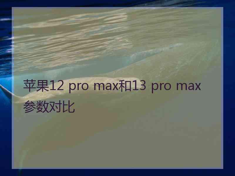 苹果12 pro max和13 pro max参数对比