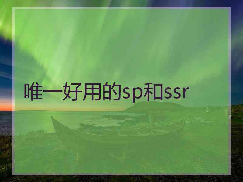 唯一好用的sp和ssr