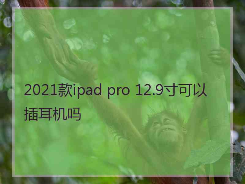 2021款ipad pro 12.9寸可以插耳机吗