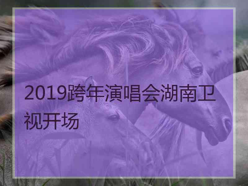 2019跨年演唱会湖南卫视开场