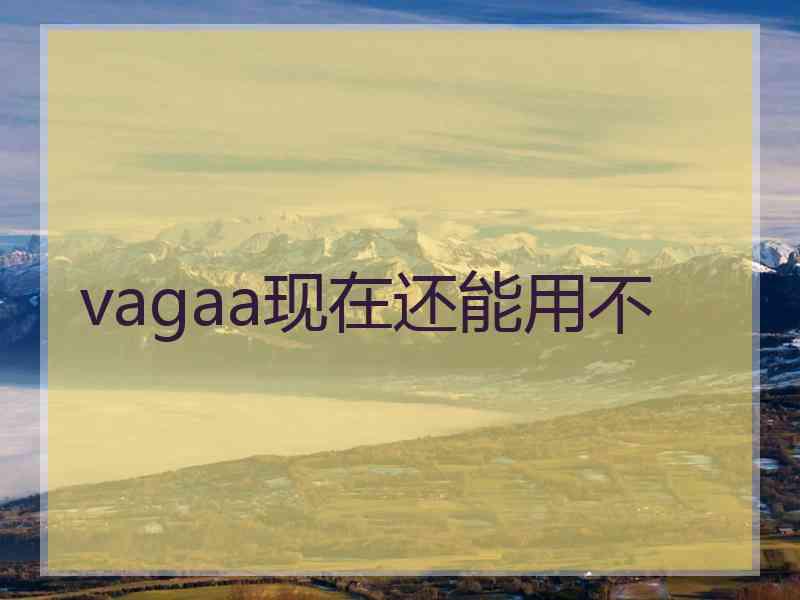 vagaa现在还能用不