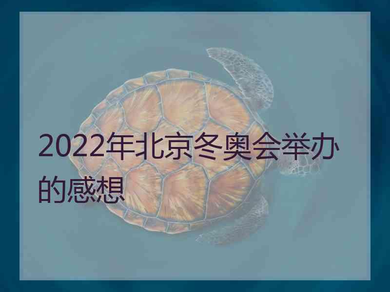 2022年北京冬奥会举办的感想