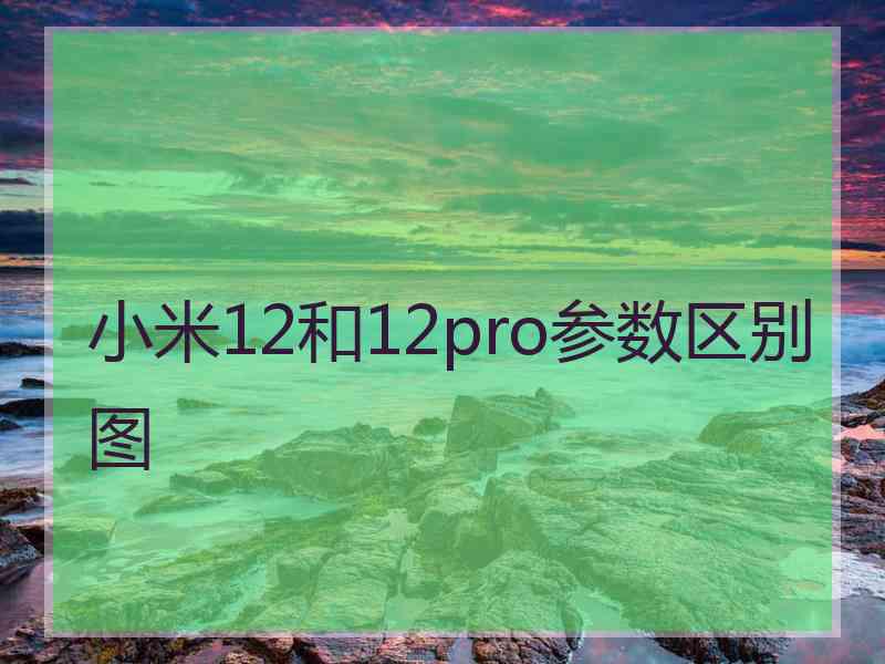 小米12和12pro参数区别图