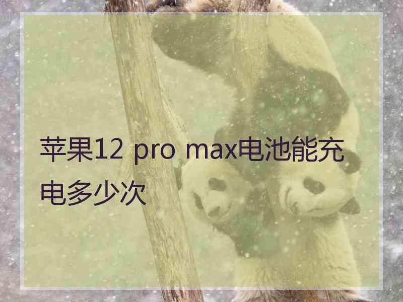 苹果12 pro max电池能充电多少次