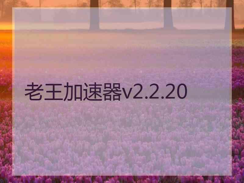 老王加速器v2.2.20