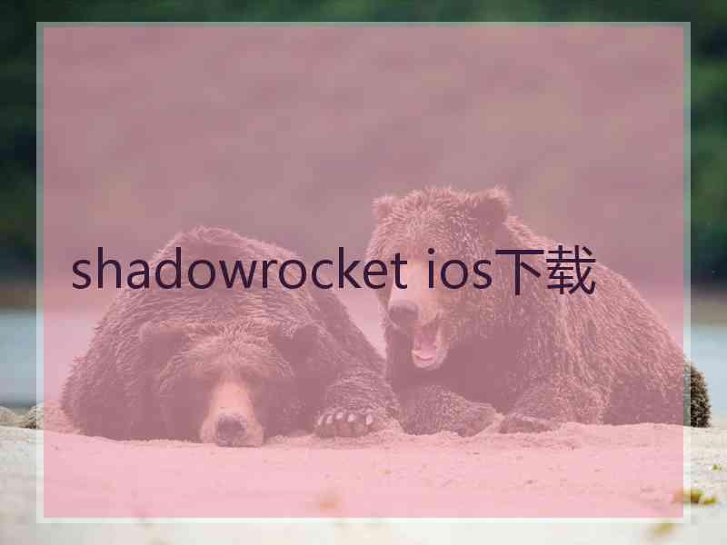 shadowrocket ios下载