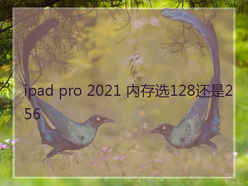 ipad pro 2021 内存选128还是256