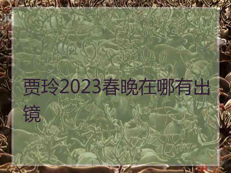 贾玲2023春晚在哪有出镜