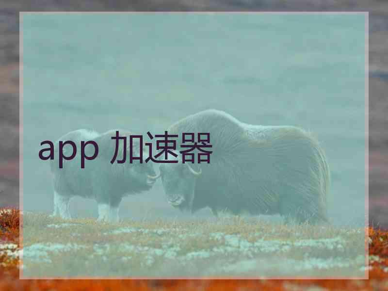 app 加速器