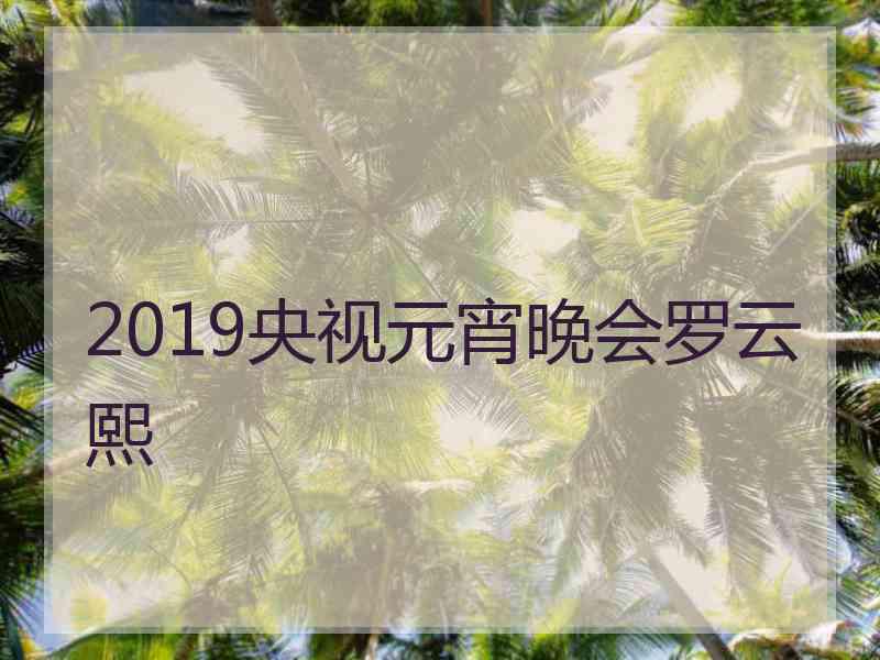 2019央视元宵晚会罗云熙