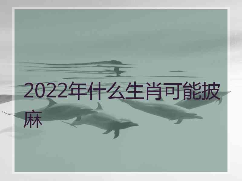 2022年什么生肖可能披麻