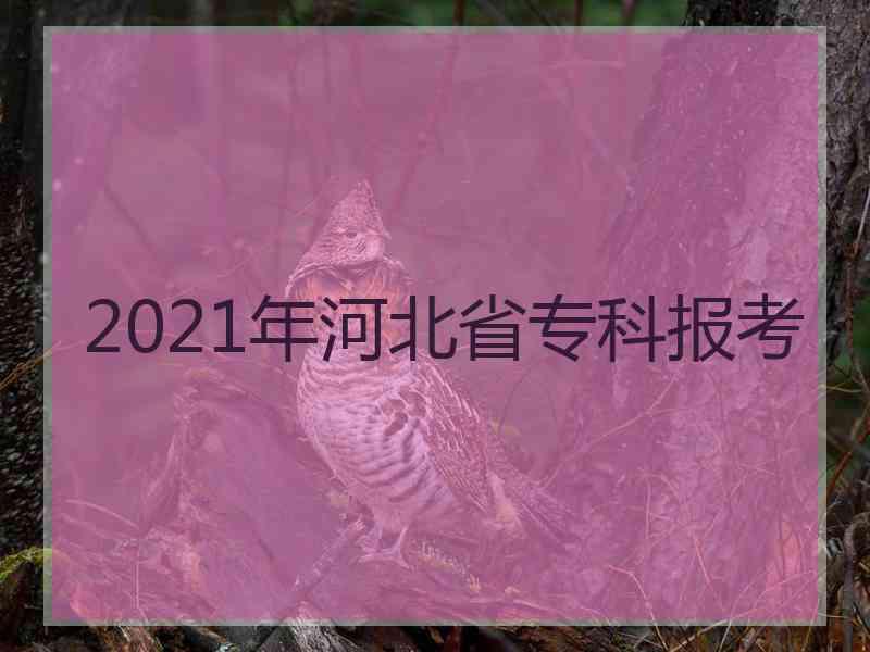 2021年河北省专科报考