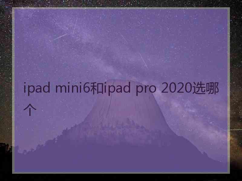 ipad mini6和ipad pro 2020选哪个