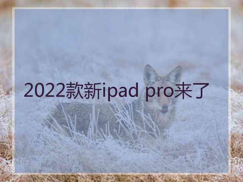 2022款新ipad pro来了