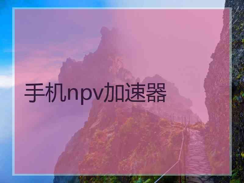 手机npv加速器