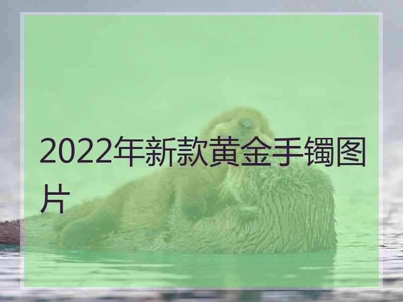 2022年新款黄金手镯图片