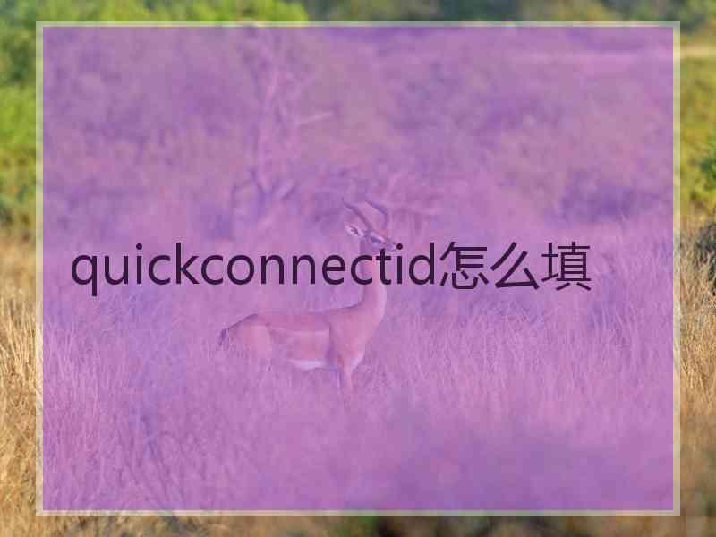 quickconnectid怎么填