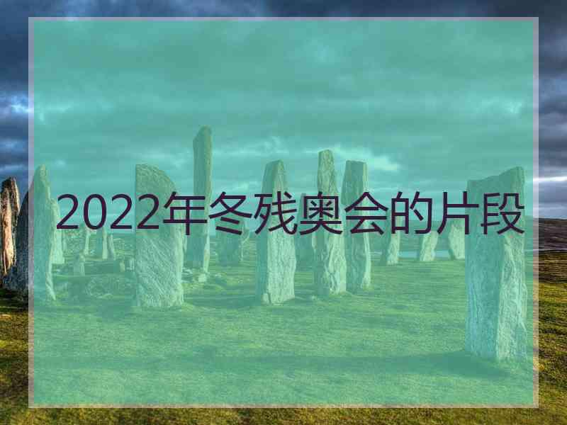 2022年冬残奥会的片段