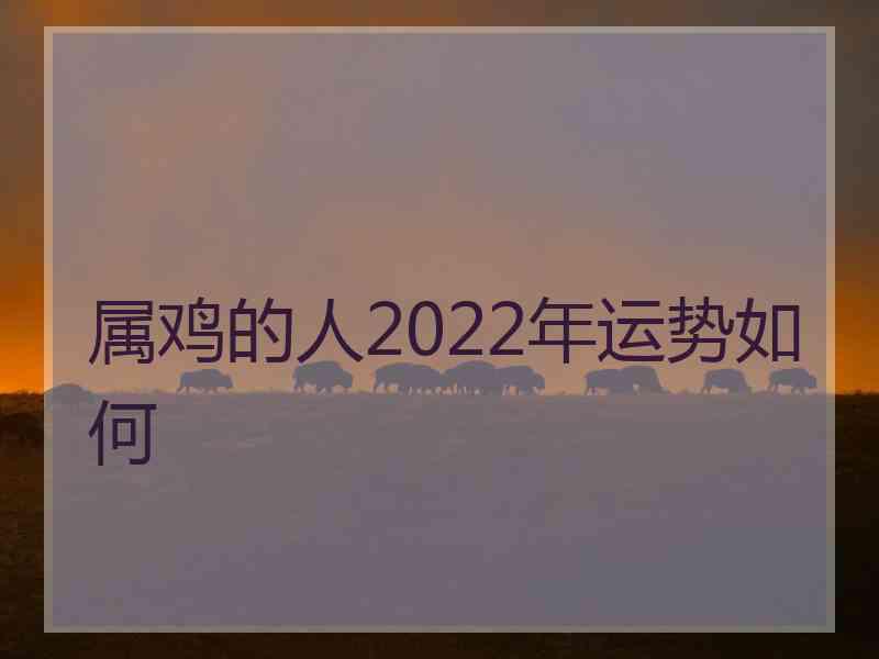 属鸡的人2022年运势如何