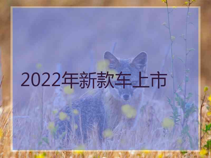 2022年新款车上市