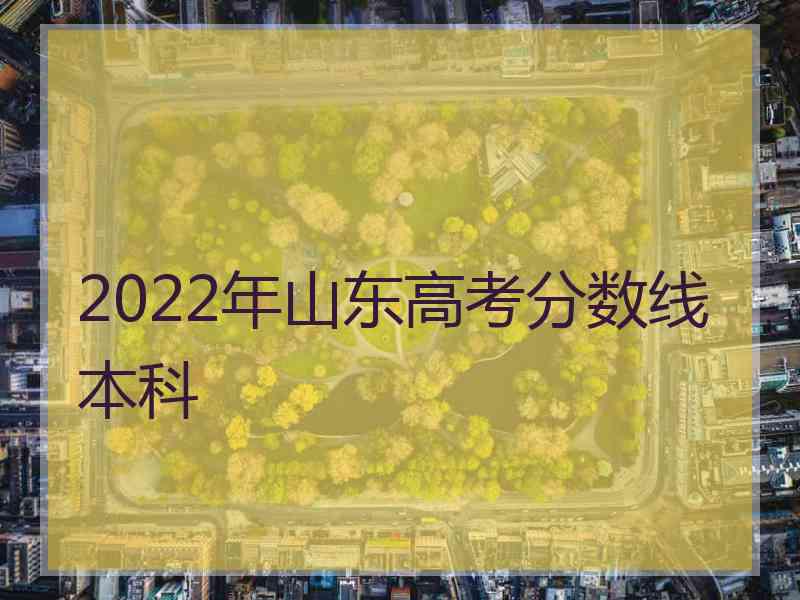 2022年山东高考分数线本科