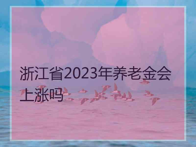 浙江省2023年养老金会上涨吗