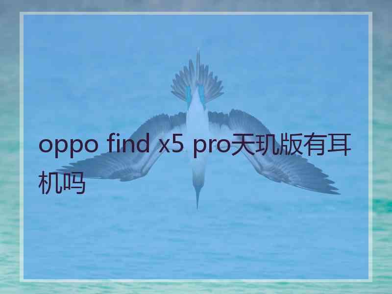 oppo find x5 pro天玑版有耳机吗