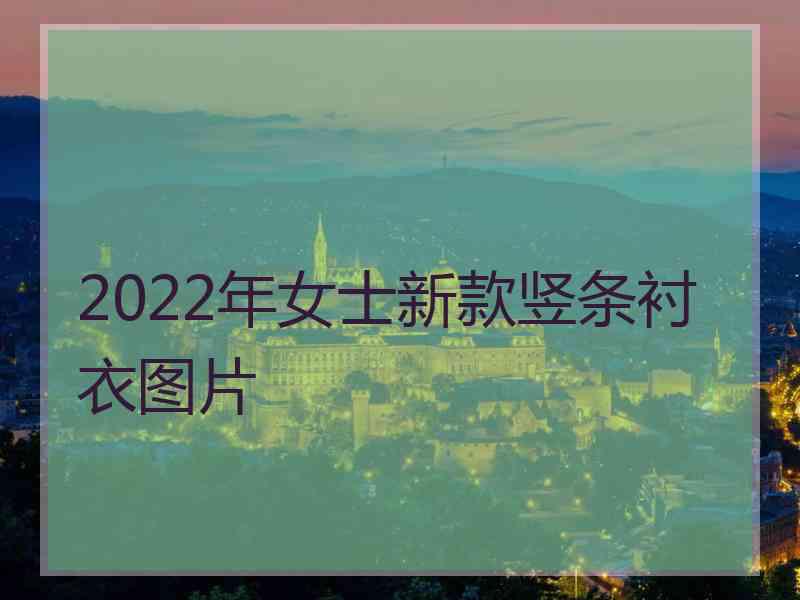 2022年女士新款竖条衬衣图片