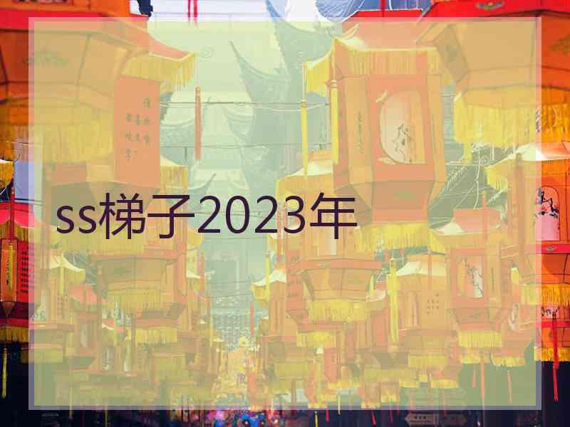 ss梯子2023年