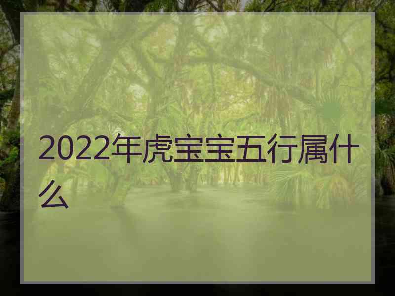 2022年虎宝宝五行属什么