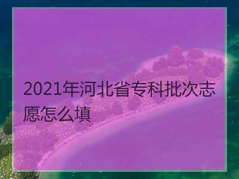 2021年河北省专科批次志愿怎么填