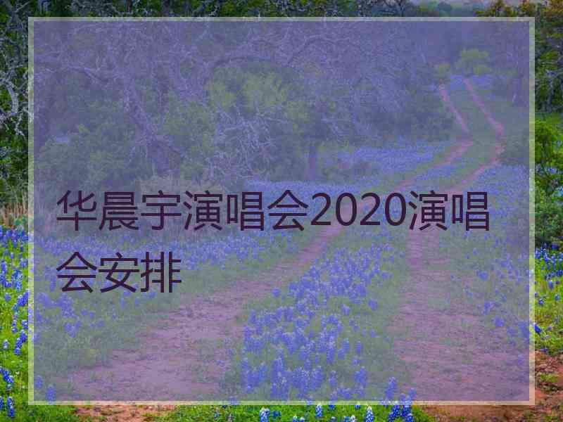 华晨宇演唱会2020演唱会安排