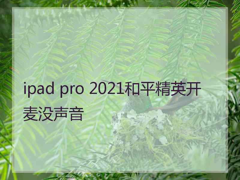 ipad pro 2021和平精英开麦没声音