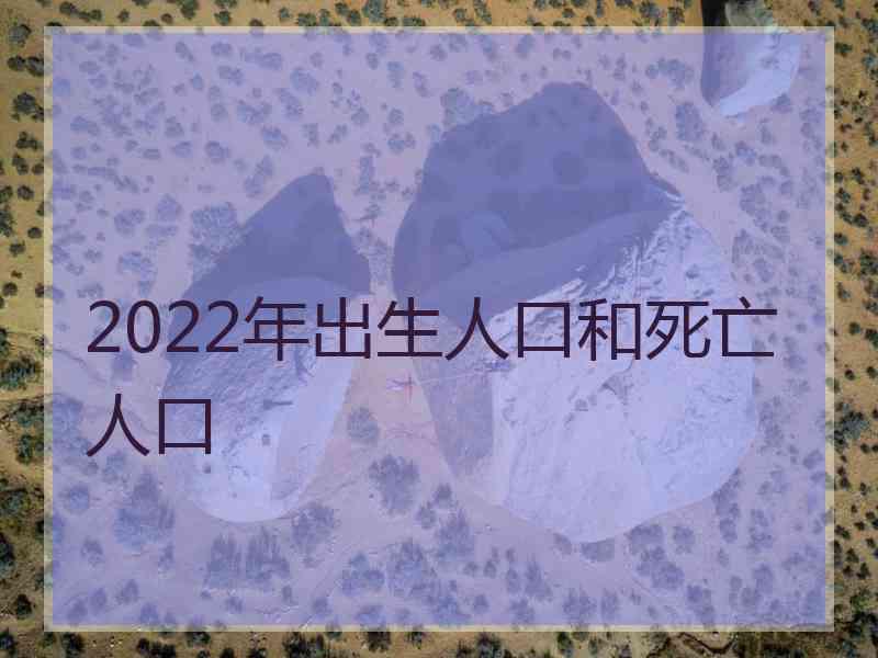 2022年出生人口和死亡人口