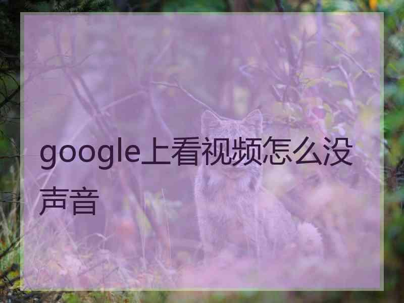 google上看视频怎么没声音