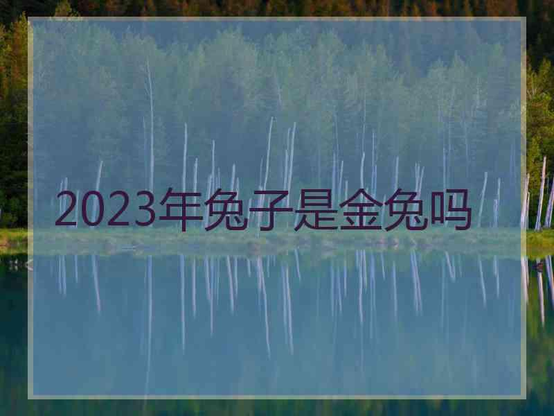 2023年兔子是金兔吗