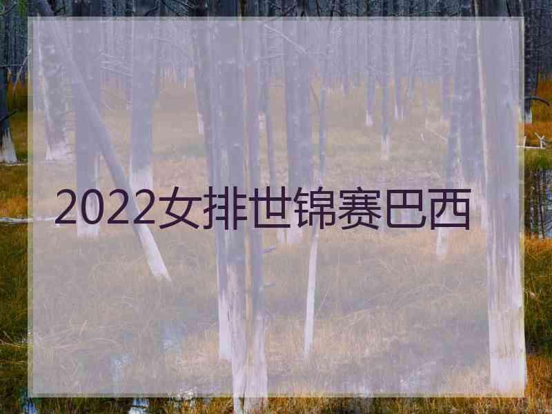 2022女排世锦赛巴西