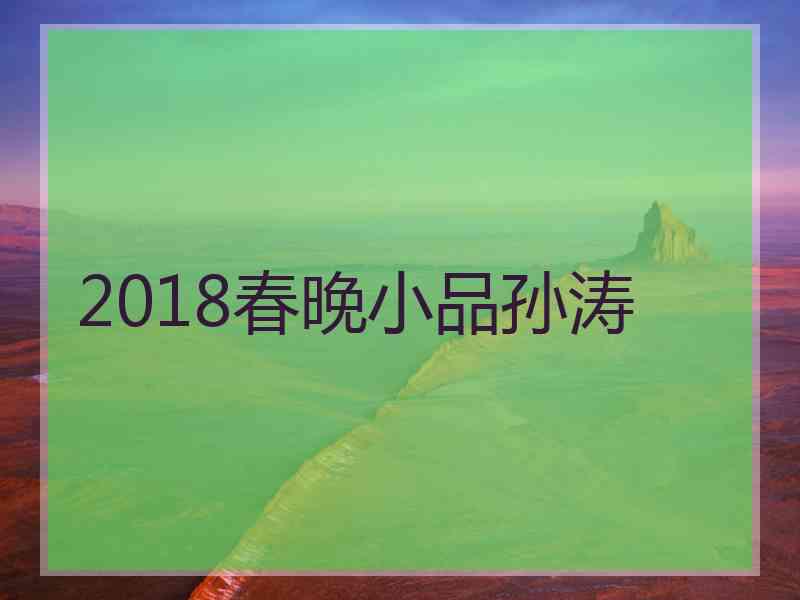 2018春晚小品孙涛