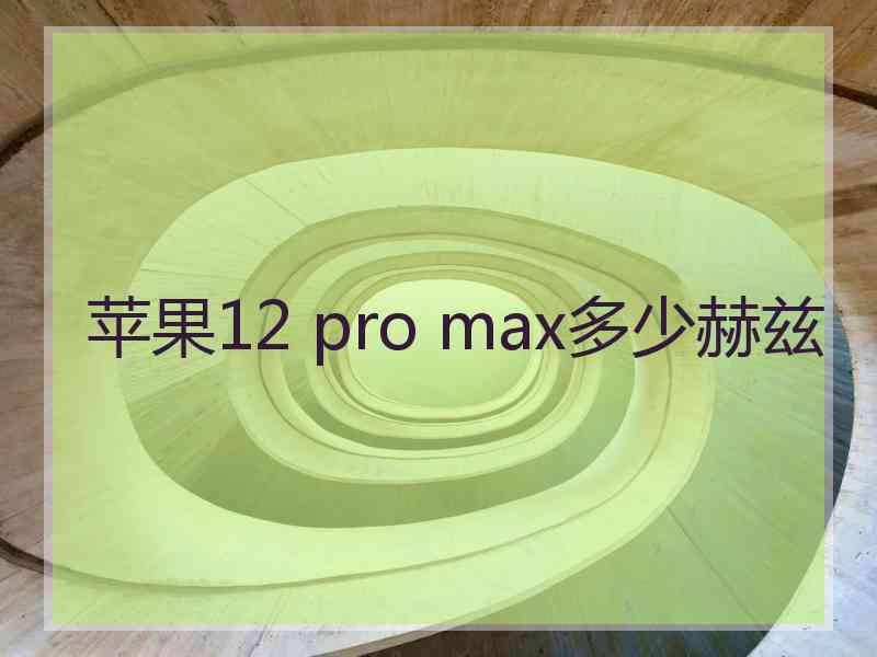 苹果12 pro max多少赫兹