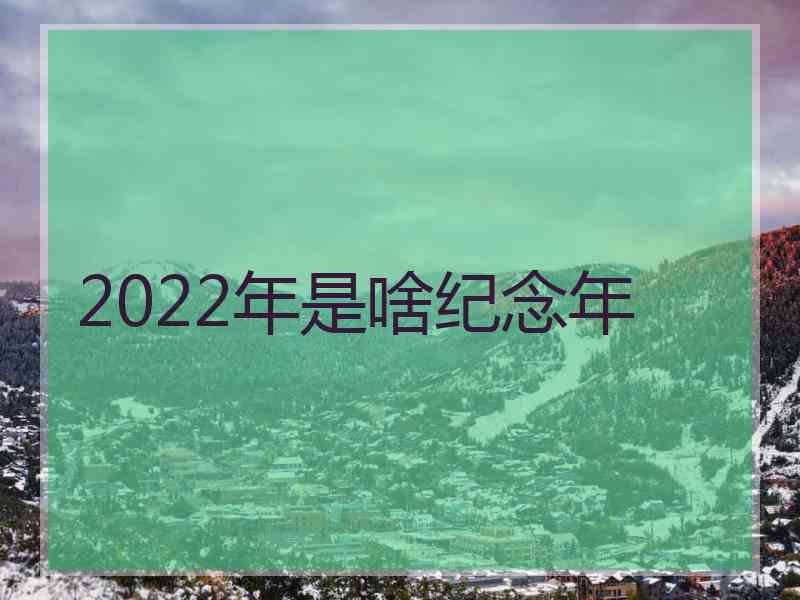 2022年是啥纪念年