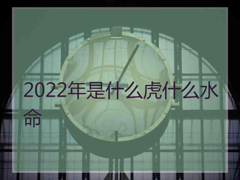 2022年是什么虎什么水命