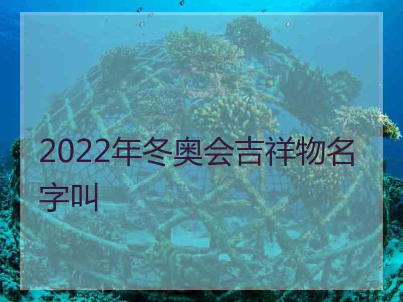 2022年冬奥会吉祥物名字叫