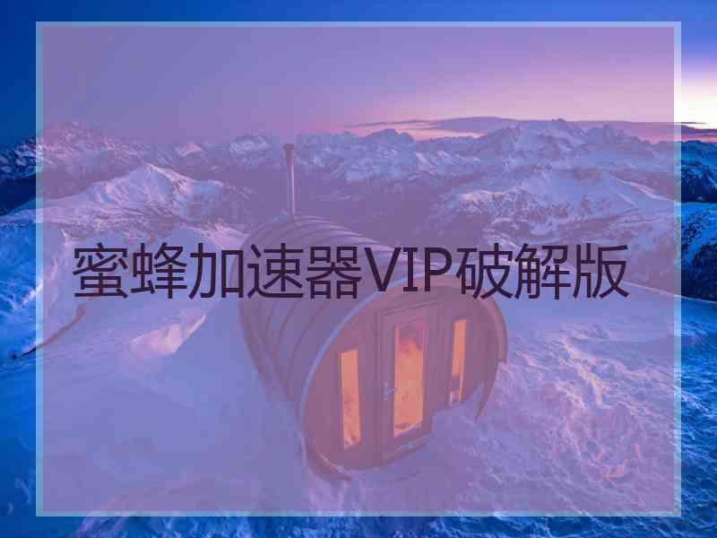 蜜蜂加速器VIP破解版