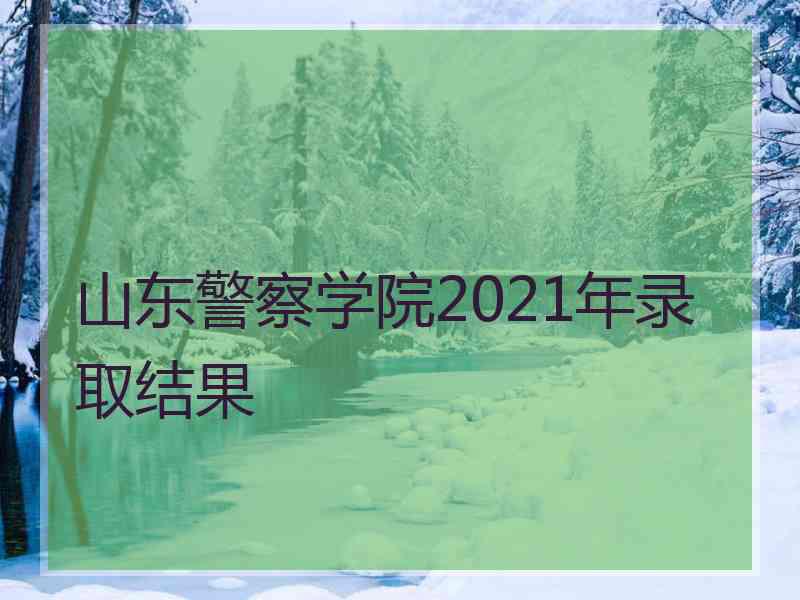 山东警察学院2021年录取结果