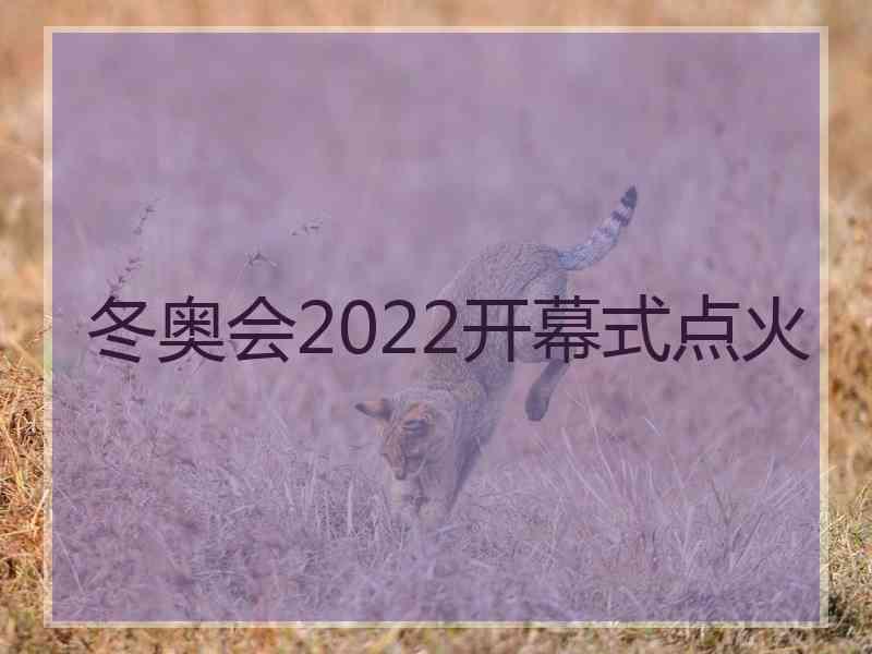 冬奥会2022开幕式点火