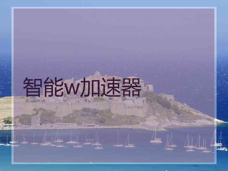 智能w加速器