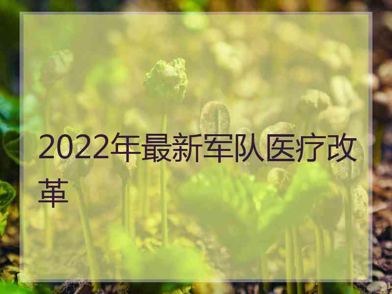 2022年最新军队医疗改革