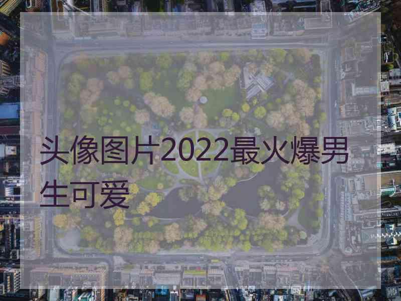 头像图片2022最火爆男生可爱